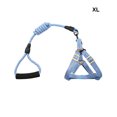 thumbnail image 4 of Greeniant Arnés para mascotas, conjunto de correa, accesorio, correa de pecho Universal, cuerdas de fijación, para exteriores, cuerda de Tubos y túneles para animales pequeños Azul SG, 4 of 6