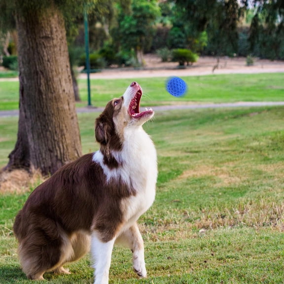 LOLIPPYY 1Pcs Rubber Ball Shaped Dog Teeth Cleaning Toy for Puppies and Indoor Play