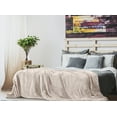 thumbnail image 3 of Lux Decor Collection Queen Fleece Blanket - Super Soft, Warm, Fuzzy & Cozy for All Seasons - Plush Microfiber Soft Blanket (90x90, Camel), 3 of 6