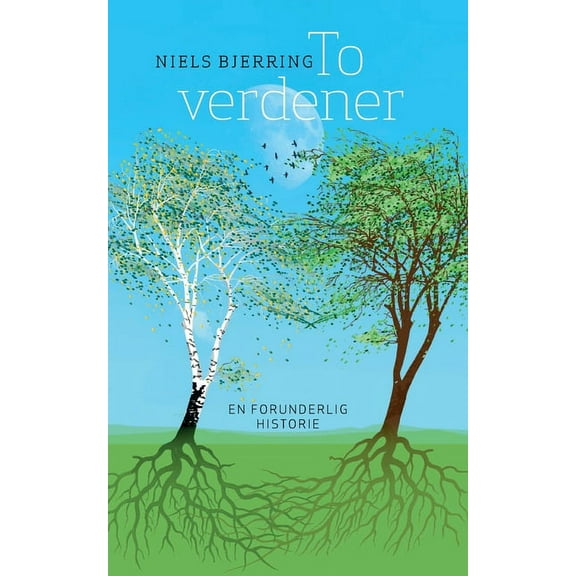 To verdener : En forunderlig historie (Paperback)