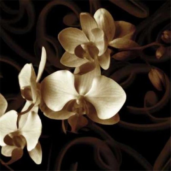 Grace Poster Print by Ily Szilagyi