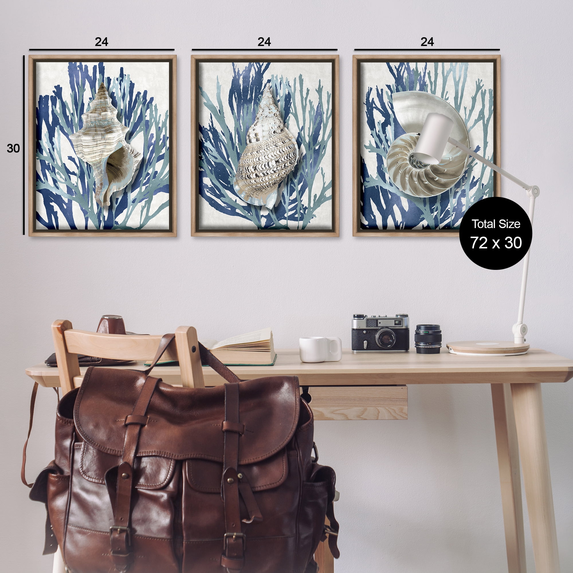 Stupell Industries Trio of Shells & Coral Nature Painting Brown Floater Framed Canvas Art Print Wall Art, 25 x 31, Set of 3