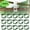 Green, variant on PEIBang 100PCS Plant Support Garden Clips,Plant Vine Vegetable Fastening Clip Grafting Tools Make Plant Grow Upright and Healthier