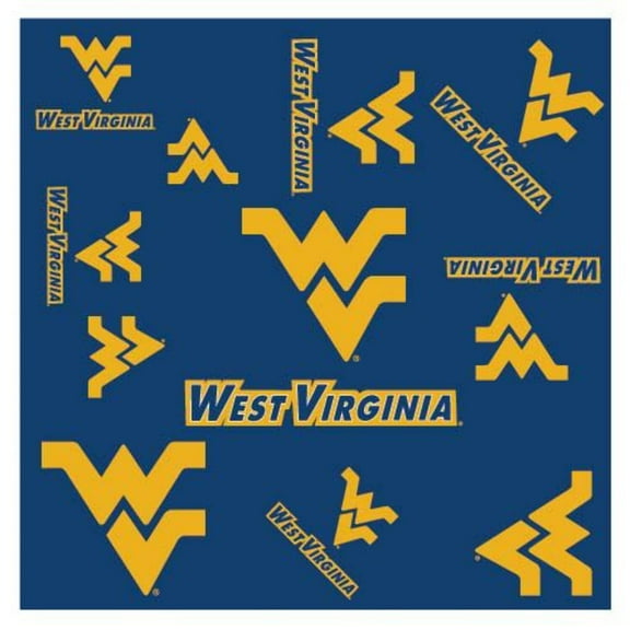 NCAA Team Silky Scarf - Assorted Teams Choose Your