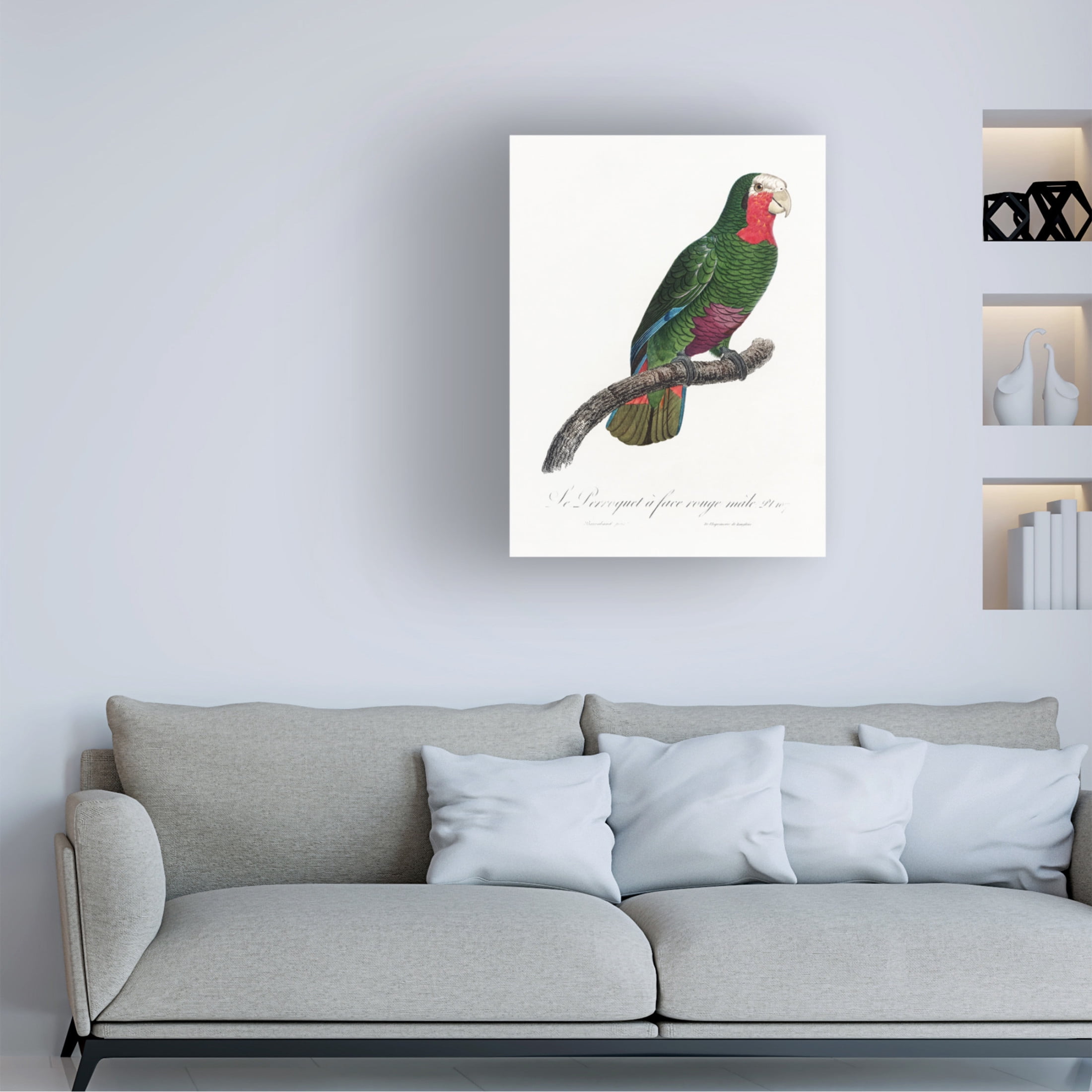 Trademark Fine Art Francois Levaillant  Levaillant Parrot V Canvas Wall Art