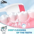 thumbnail image 4 of YWC-Bulk Disposable Toothbrush with Toothpaste,Individually Wrapped Travel Toothbrush Sets,Soft Toothbrushes Perfect for Homeless, Travel, Hotels, Charities, OCC,Dentists (White, 24PS), 4 of 4