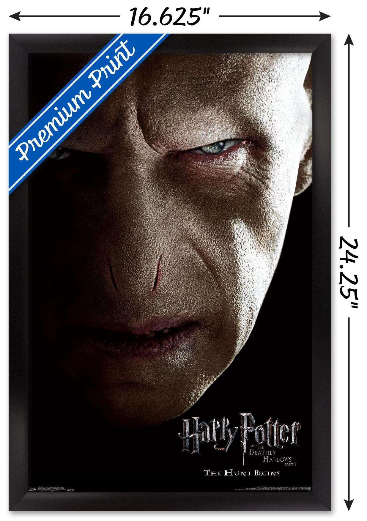 Harry Potter and the Deathly Hallows: Part 1 - Voldemort One Sheet Wall Poster, 14.725" x 22.375", Framed