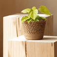 thumbnail image 3 of 2X Straw Weaving Flower Plant Pot Wicker Basket Rattan Flowerpot Storage Basket Handmade Woven Planter Basket M, 3 of 6