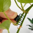 thumbnail image 1 of Feltree 20/100PCS Phalaenopsis Orchid Support Clips, Horticultural Plant Branch Fixing Clips for Stable Growth & Vertical Gardening, 1 of 8