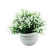 thumbnail image 2 of Flores falsas en maceta,Adorno de maceta con flores falsas para el interior del hogar,Dormitorio con planta falsa en maceta,estilo granja,Decoración de bonsái con plantas, 2 of 8