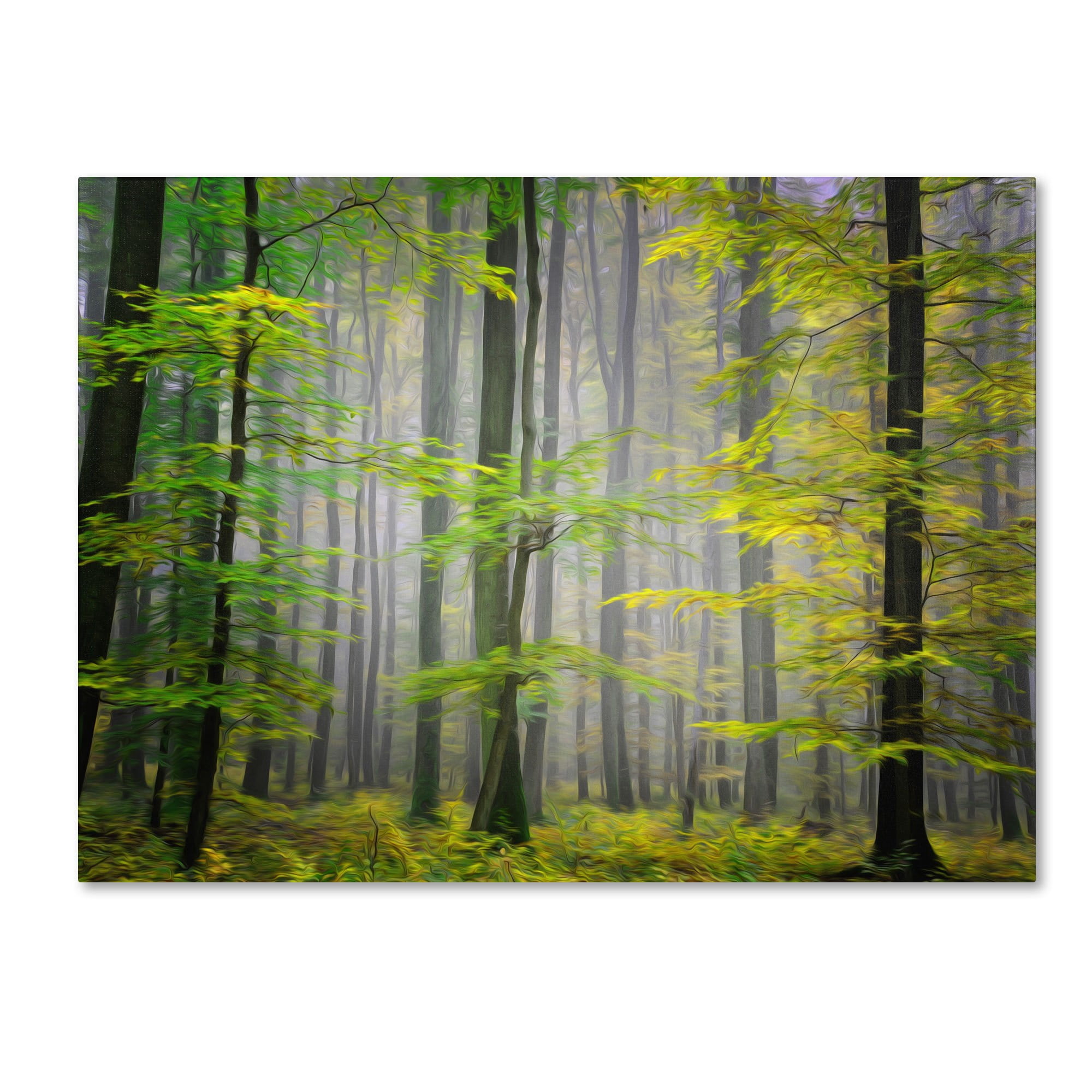 Trademark Fine Art "Sugar Low" Canvas Art by Philippe Sainte-Laudy