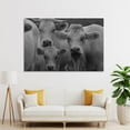 thumbnail image 4 of Cow Black And White Veal Animal Themes Looking At Camera Canvas Art Poster And Wall Art Picture Print Modern Family Bedroom Decor Posters,Unframe-style,12x18inch(30x45cm), 4 of 8
