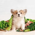thumbnail image 4 of Yiaed Cactus And Succulents Print Dog Blankets-Cat Blanket Washable for Couch Protection,Puppy Blanket, Soft Plush Reversible Throw Furniture Protector-Medium, 4 of 8