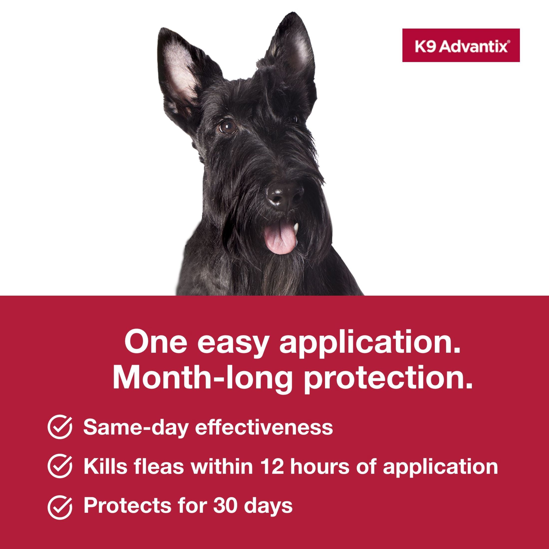 (6 pack) K9 Advantix Flea, Tick & Mosquito Prevention for Medium Dogs 11-20 lbs., 2-Monthly Treatments
