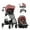 Shasta, variant on Omni Plus Modular Travel System with LiteMax Rear-Facing Infant Car Seat (Mylar Gray)