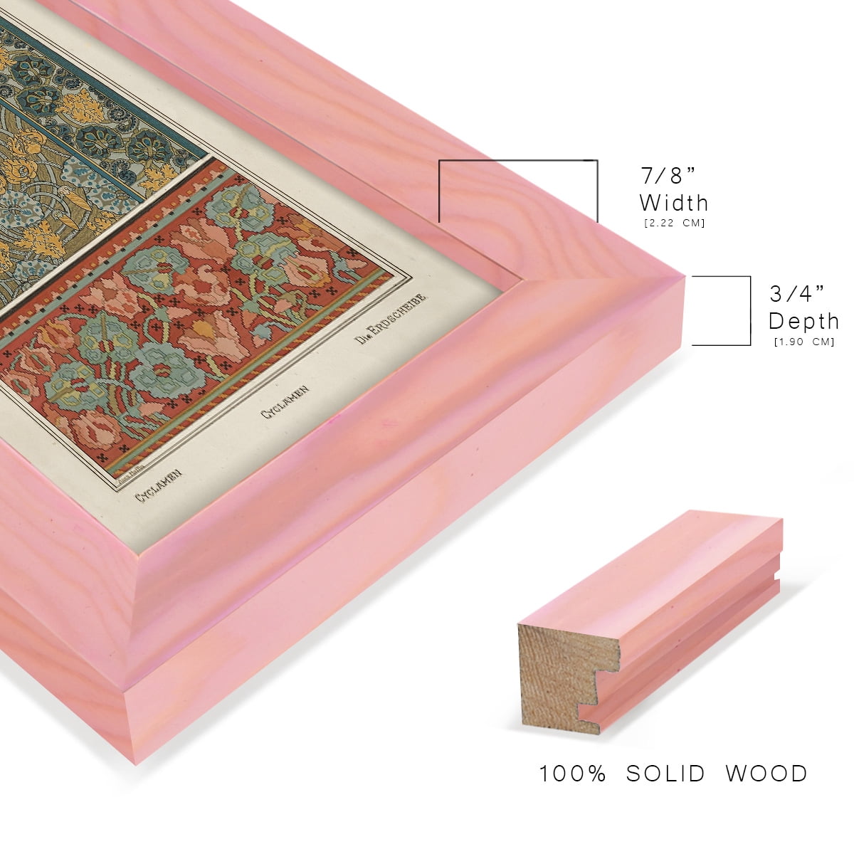 Nouveau Decorative I - Framed Print w/glass - Sunset Pink