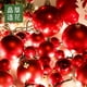 thumbnail image 5 of Bola navideña roja de 3-25 cm, bola colgante navideña, bola colgante, decoración de anillo para árbol de Navidad, 5 of 5