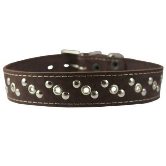 Genuine Leather Studded Dog Collar 22"x1" Brown Fits 15"-19.5" Neck