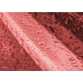 thumbnail image 1 of Ahgly Tapis Rectangulaire Rouge Lavable en Machine, 2 Pieds x 4 Pieds, 1 of 7
