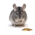 thumbnail image 2 of Alimento Alfalfa pellet Conejo Cuyos Conejos Y Otras Mascotas 5 Kg laazootea cone5, 2 of 2