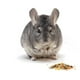 thumbnail image 2 of Alimento Alfalfa pellet Conejo Cuyos Conejos Y Otras Mascotas 5 Kg laazootea cone5, 2 of 2