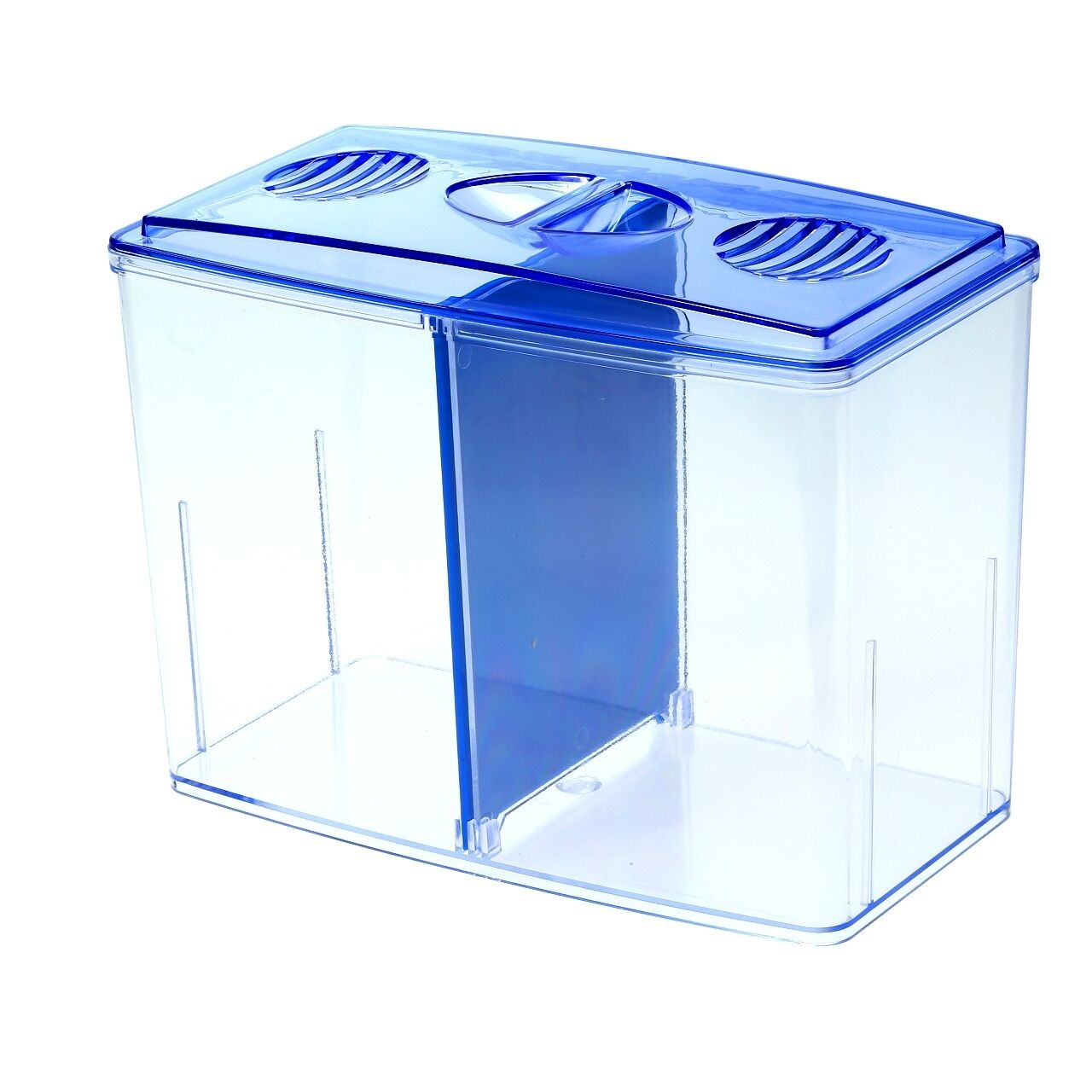 Buy Betta Box Aquarium Bowl Dividers Twin Front Tank Rearing Display