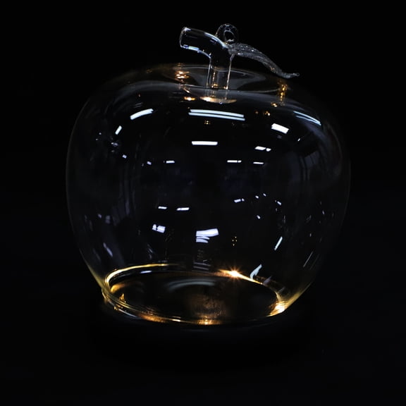 WEUVEB -Shaped Glass Display Dome with Transparent Cover and Wooden Base for Dolls, Flowers, Collectibles - 1 Set