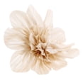 thumbnail image 5 of BESTYASH Beige Chiffon Rose Brooch Pin for Decor Elegance and Fashion, 5 of 8