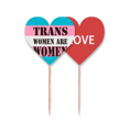 thumbnail image 1 of Trans mujer transgénero apoyo LGBT Palillos de dientes bandera etiqueta de amor selección de pastelitos, 1 of 4