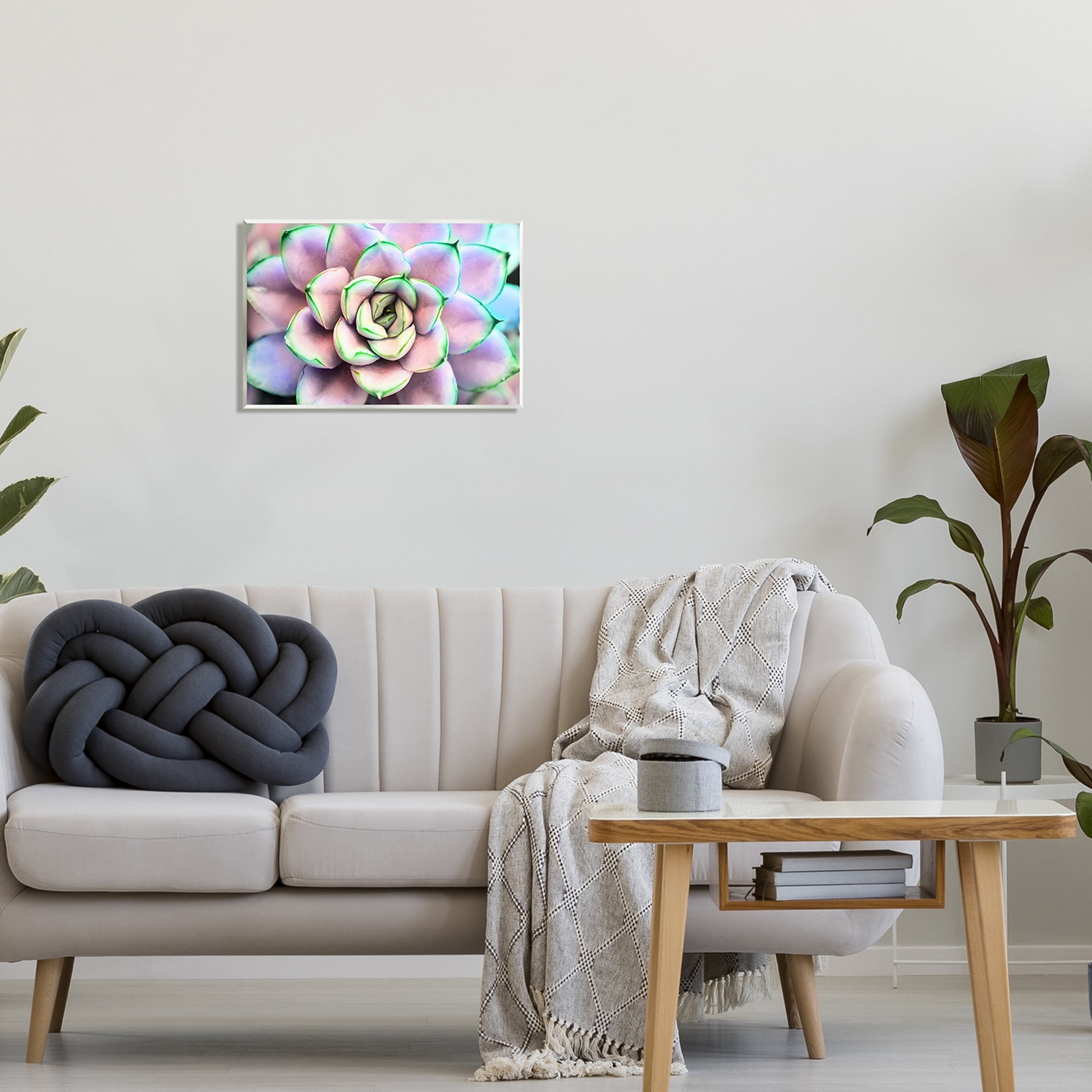 Stupell Industries Purple & Green Succulent Petals Botanical & Floral Photography Unframed Art Print Wall Art