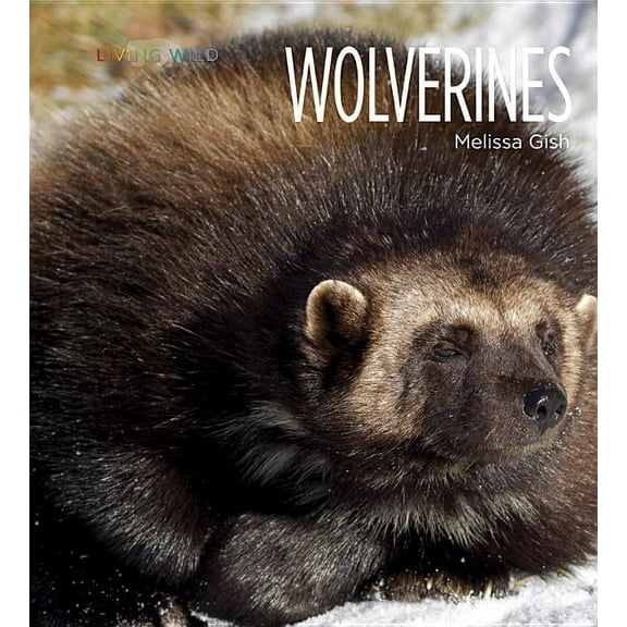 Living Wild: Living Wild: Wolverines (Paperback)