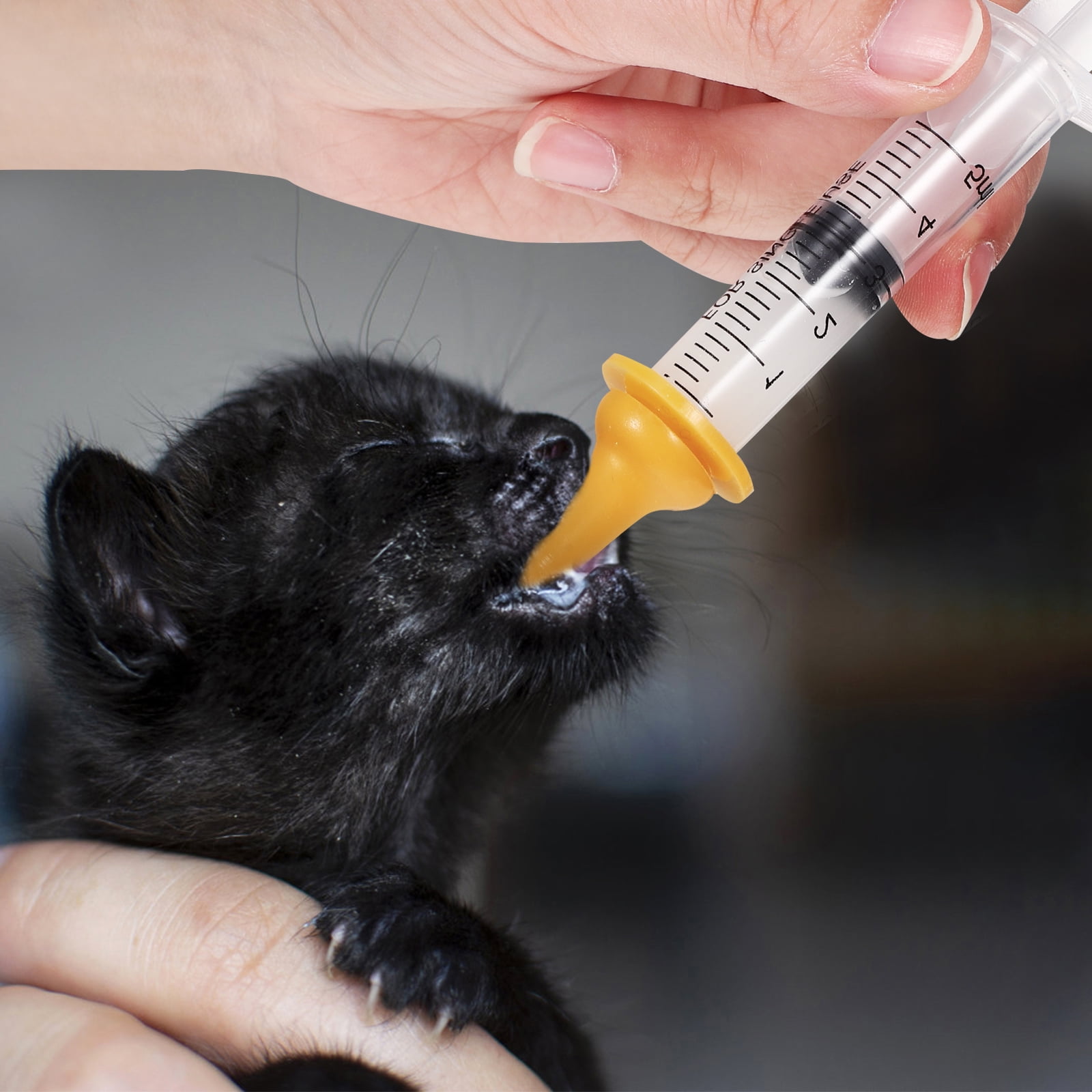 1 Set Kitten Bottles Bottle Feeding Kit Feeding Injector Nipples for Kittens Puppies Squirrels