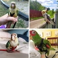 thumbnail image 4 of tredstone Bird Harness Nylon Leash Training Rope Resilience Outdoor Accessories Elastic Wire Multipurpose Handy to Wear Convenience Red 1Set, 4 of 5