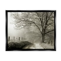 Stupell Rural Scenery Fenced Path Landscape Photography Black Floater Framed Art Print Wall Art