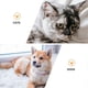 thumbnail image 5 of 1 Ceramic Pet Bowl with Stable Iron Stand, Elevated Design for Cats and ColorCoordinated, 5 of 5