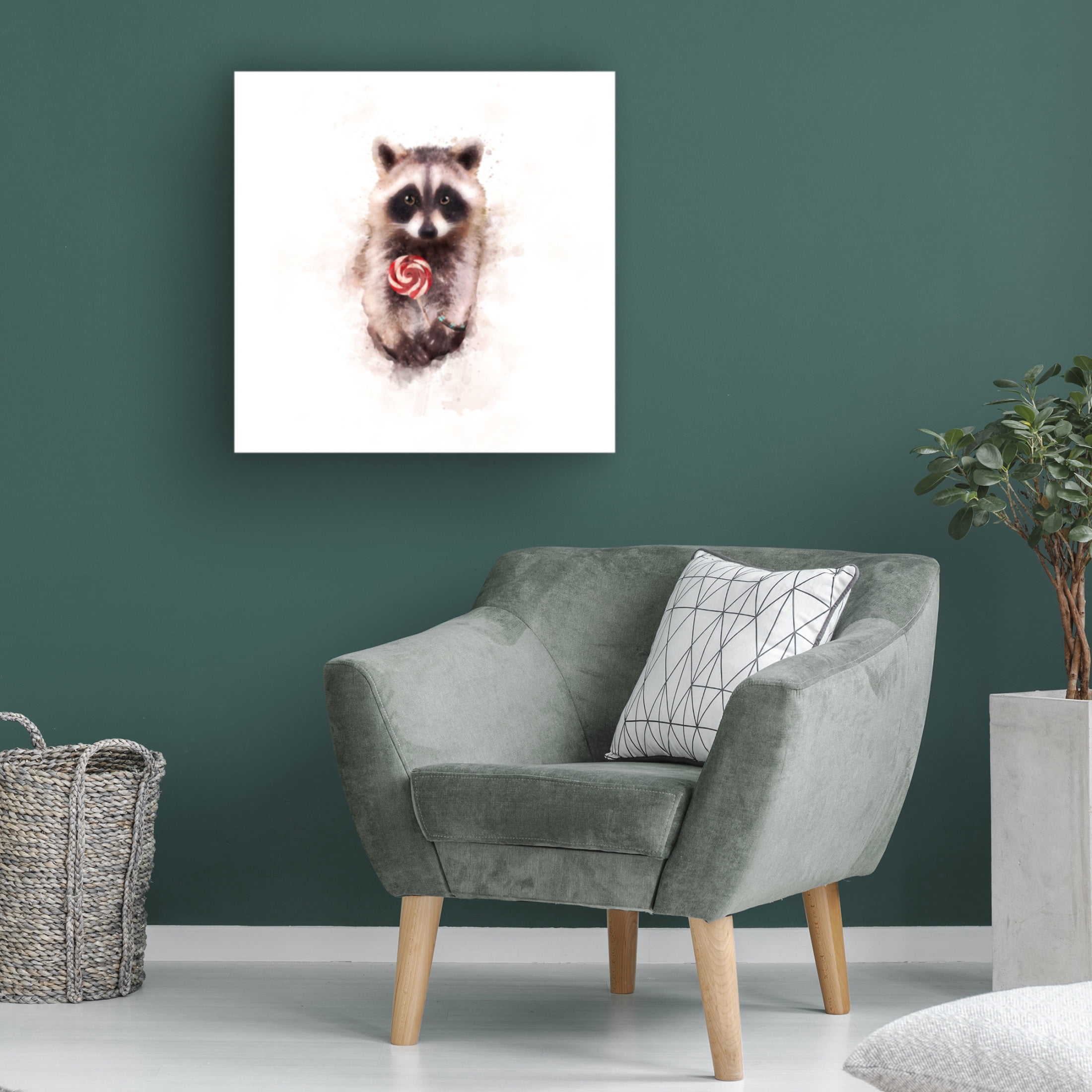 Trademark Fine Art Emel Tunaboylu  Baby Racoon Canvas Wall Art