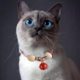thumbnail image 4 of Collar Separable For Gatos, Cuello Antirrotura Y, 4 of 8