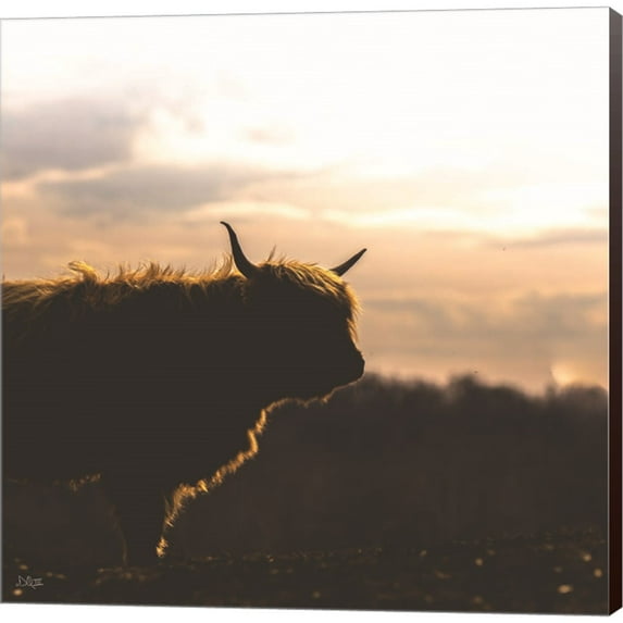 Great Art Now Sunset Watch by Donnie Quillen, Canvas Wall Art, 12W x 12H
