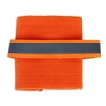 thumbnail image 1 of 2 Piezas Elásticas Para Piernas De Seguridad Para Perros, Tiras Reflectantes Naranja L Gloria 2 piezas bandas elásticas para piernas de seguridad para perros, 1 of 8