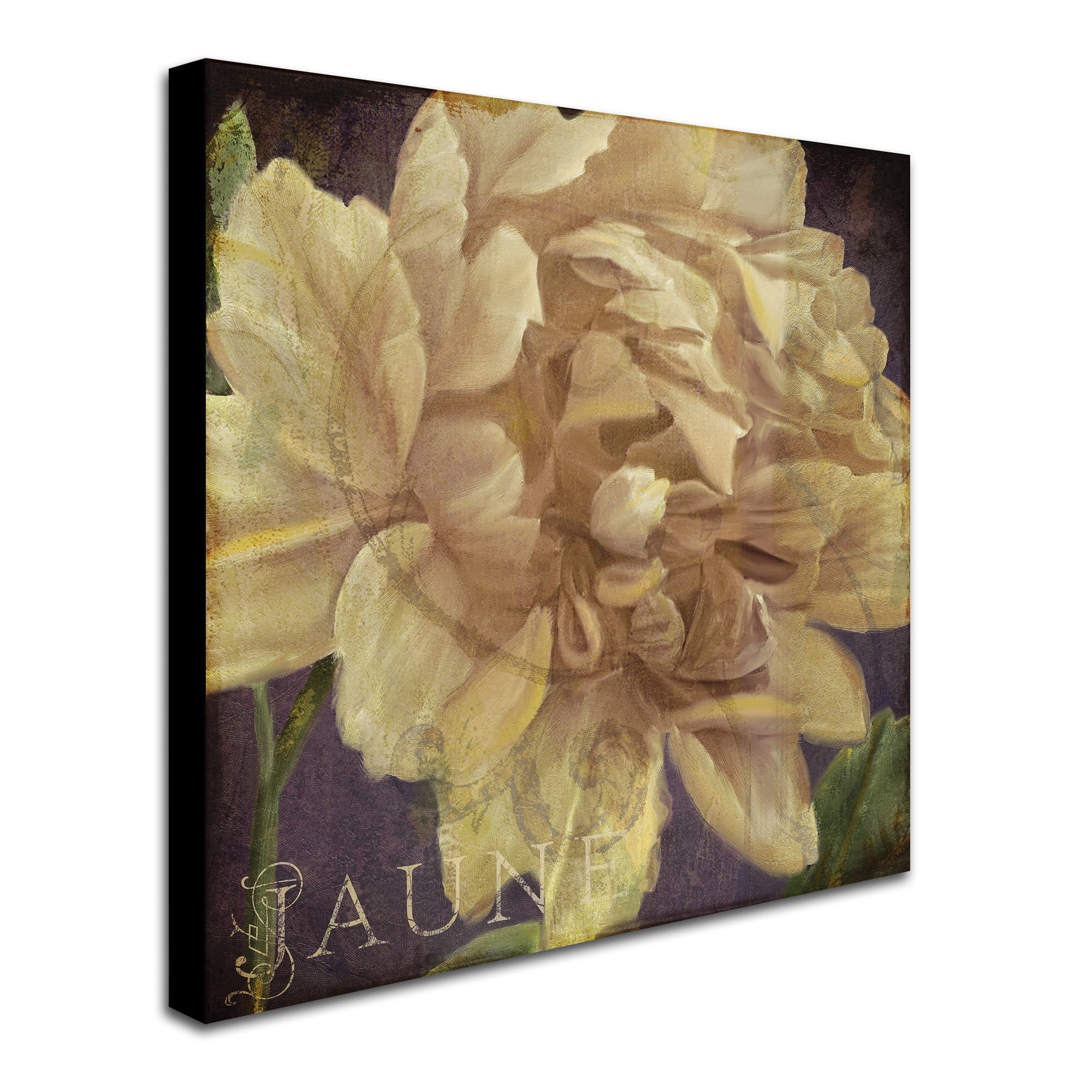 Trademark Fine Art "Jaune" Canvas Art by Color Bakery