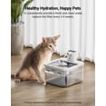 thumbnail image 5 of Filtros de repuesto DownyPaws para fuente de agua Cat DPWFP6, 5 of 5