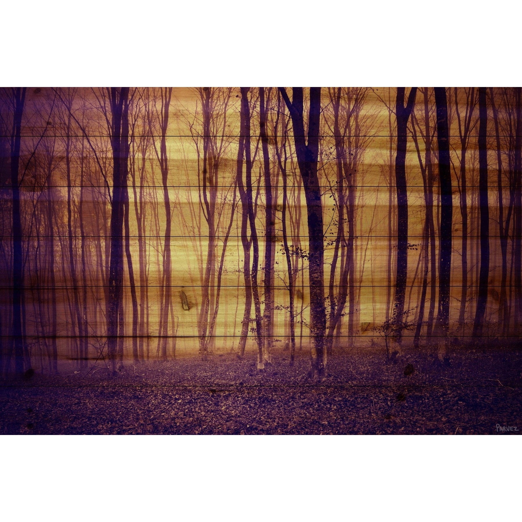 Parvez Taj "Crimson Forest" Painting Print on Natural Pine Wood