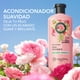 thumbnail image 2 of Acondicionador Suavidad Rosa Mosqueta Herbal Essences para mayor brillo y suavidad 240 ml, 2 of 5