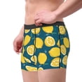 thumbnail image 2 of Susaid Lemon Print Men's Mesh Boxer Briefs Cooling Breathable Sports Underwear Wide Waistband Boxer Briefs W/Fly-Small, 2 of 5