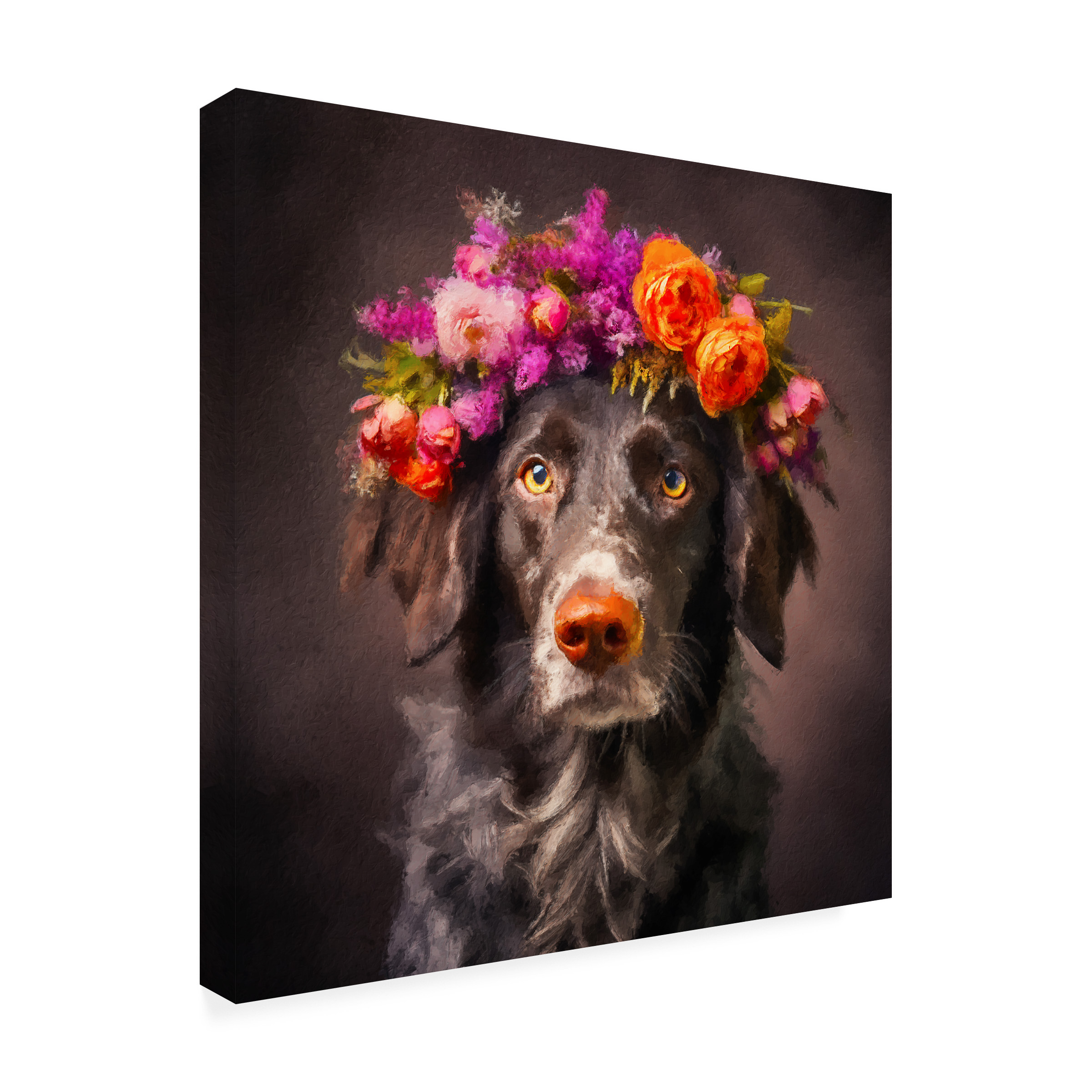 Canvas Wall Art - Sean Parnell 'Dog Flower 1' Wall Art for Living Room, Bedroom, or Office Décor by Trademark Fine Art - 18 x 18 Inches