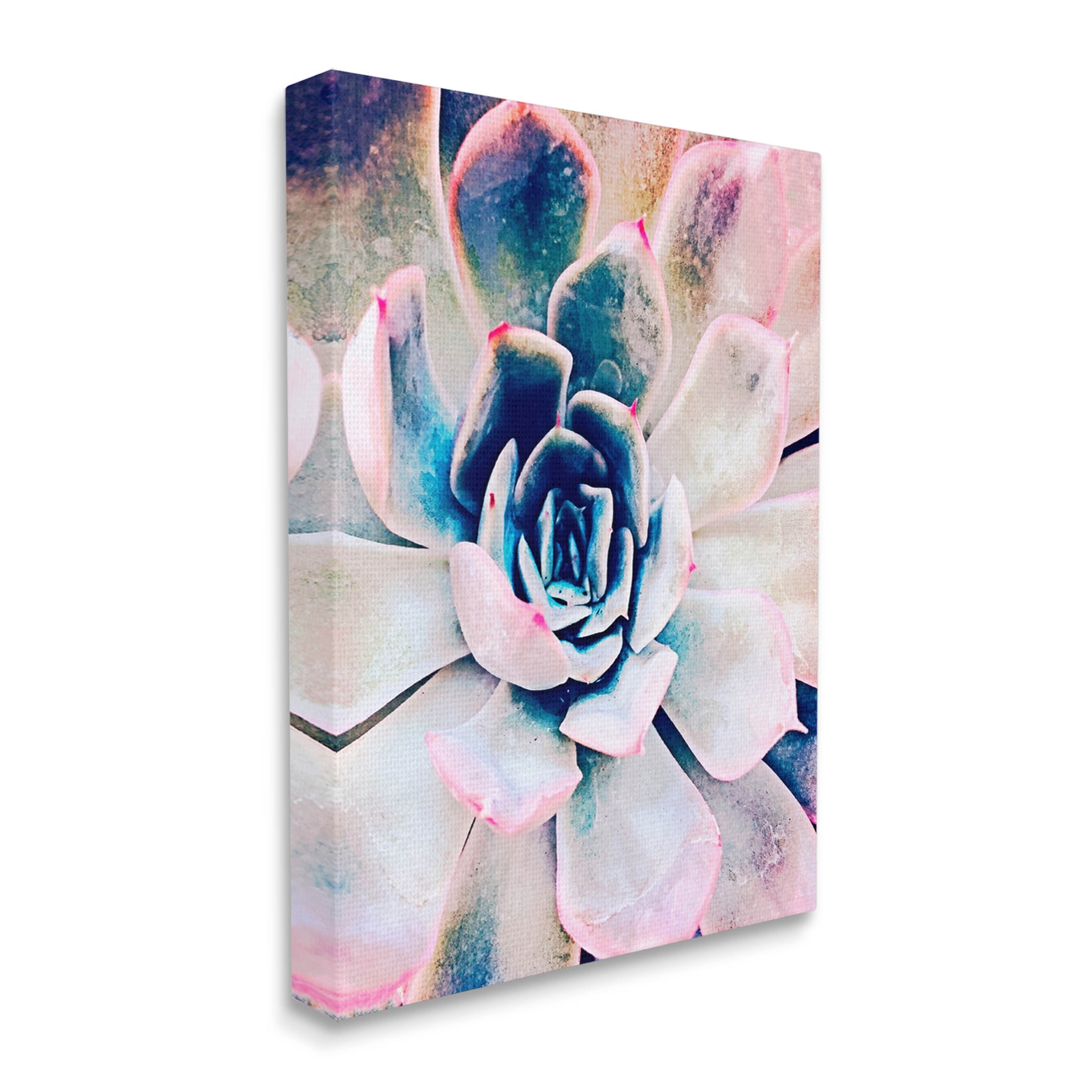 Modern Succulent Plant View Botanical & Floral Photograph Gallery Wrapped Canvas Print Wall Art