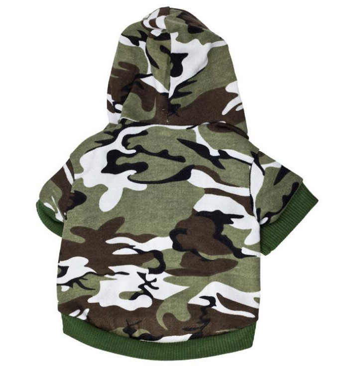 chihuahua camo clothes