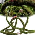 thumbnail image 1 of Moss Vine for Reptiles, Bendable Climbing Vines Reptile Tank Accessories, Natural Moss Rope for Leopard Gecko, Lizard, Snake, Chameleon, Frog Terrarium Decor (Jungle Green, 9.8 FT), 1 of 7