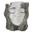 thumbnail image 4 of Maceta con forma de cara, contenedor de plantas, adorno artesanal, regalo, decoración del hogar, maceta práctica de resina para dormitorio, oficina,, 4 of 8