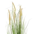 thumbnail image 3 of Vickerman 48" Artificial Potted Green Grass and Cattails., 3 of 4